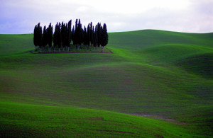 toscana_13