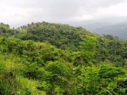 Pueblo_Tayrona