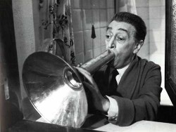 1196111871_votantonio