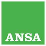 ansa