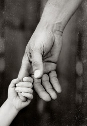 papa-manina
