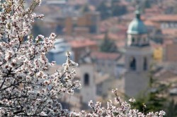 rovereto-primavera