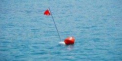 Boa_nel_mare_di_Sapri