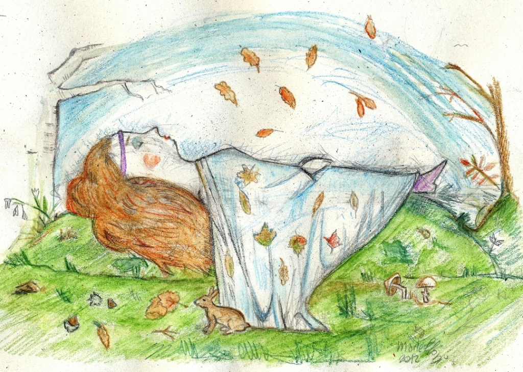 La Bella addormentata nel bosco