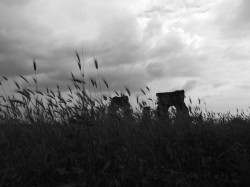 silenzio