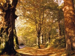 autunno