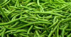 fagiolino