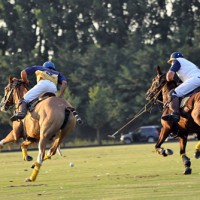 giocodelpolo