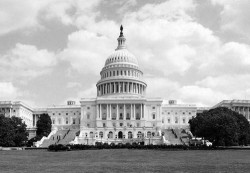 capitol-hill