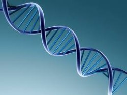 genetica
