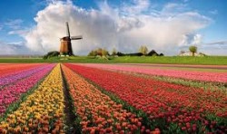 olanda