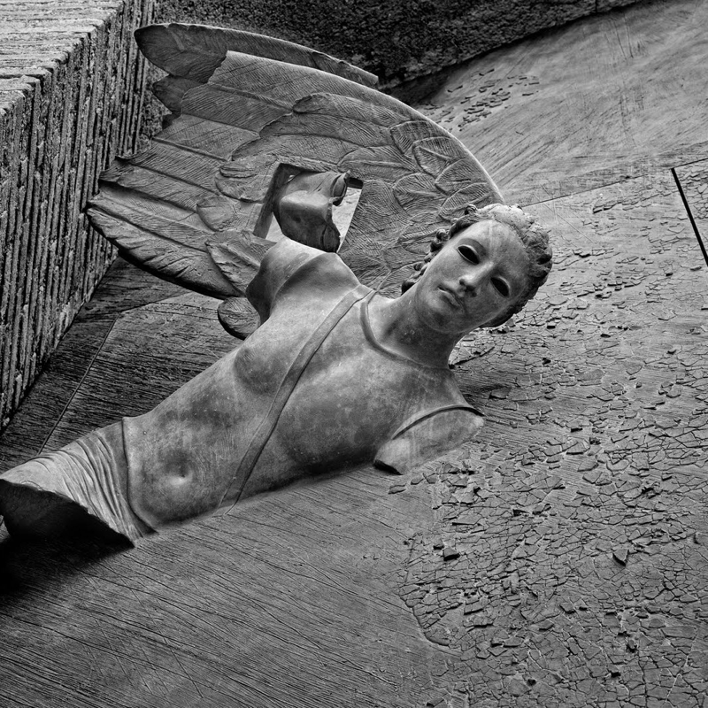Igor Mitorj. Angeli –(Pisa Opera Primaziale fino al 15 gennaio)