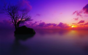 naturaa