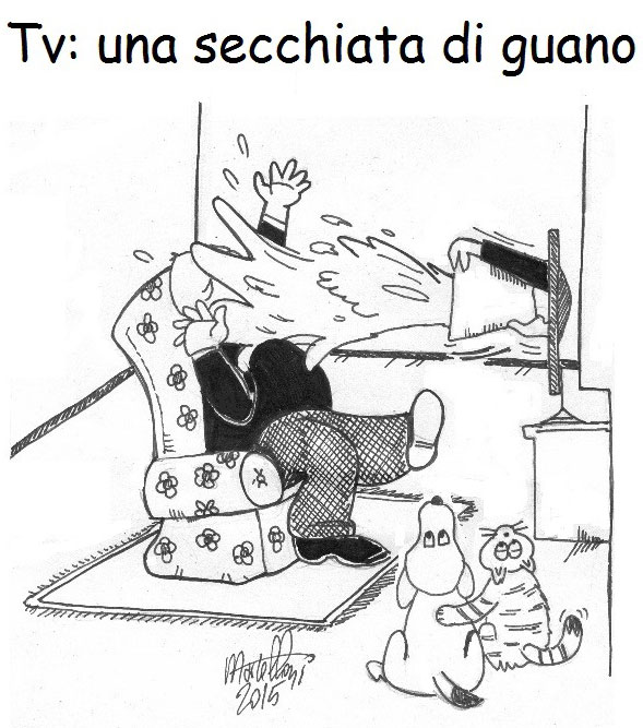 Una-secchiata-di-guano