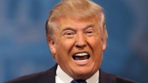 donald-trump-is-losing-his-insane-pr-war-against-mexico-1435778037-crop_mobile