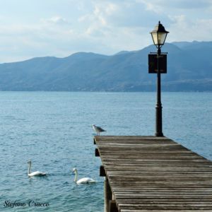 LAGO