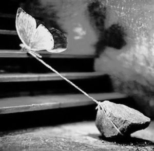 immagine-presa-dal-web