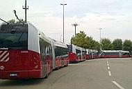 Autobus
