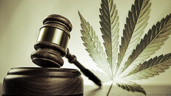 legalizzazione cannabis